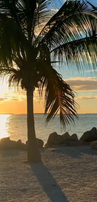 Tranquil beach scene with palm tree silhouette at sunset, perfect for mobile wallpaper.