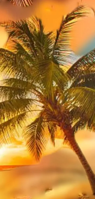 Tropical palm tree silhouette at sunset with vibrant colors and serene beach view.