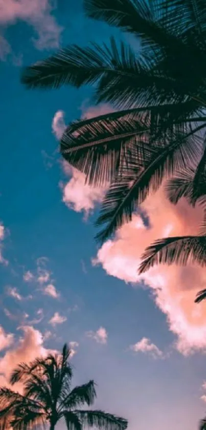 Silhouetted palm trees with a vibrant tropical sunset sky in the background.