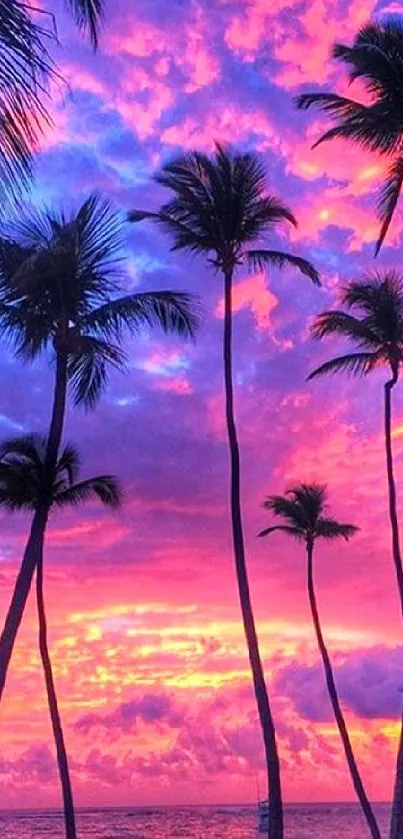 Silhouetted palm trees at sunset over a vibrant purple and pink sky.