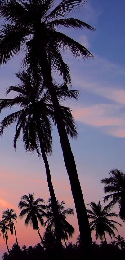 Palm trees silhouetted against a vibrant tropical sunset with pink and purple hues.