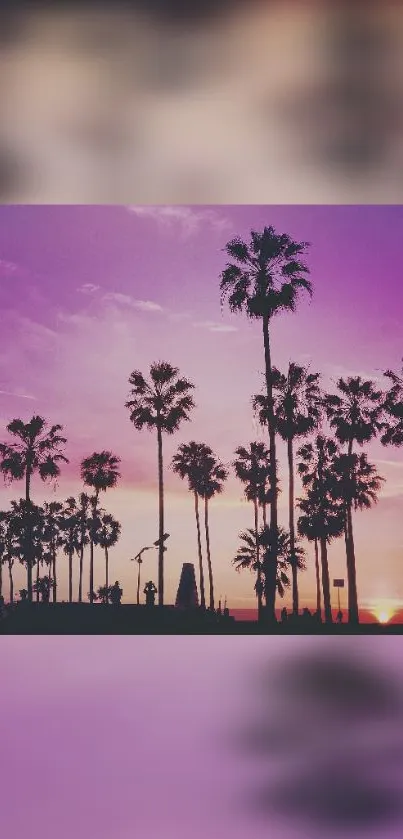 Silhouette of palm trees against a purple sunset sky creating a tropical scene.