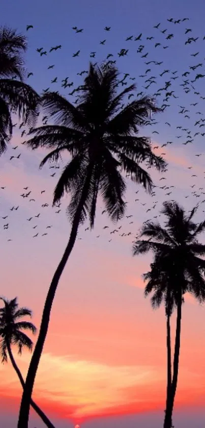 Silhouetted palm trees against a vibrant tropical sunset sky.