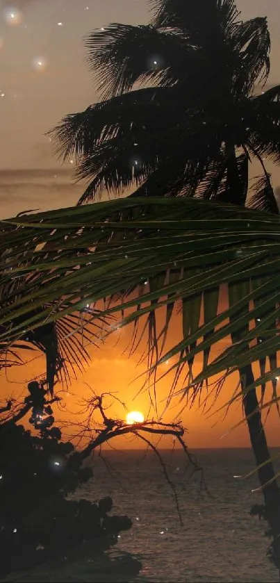 Tropical sunset with palm trees overlooking the ocean.