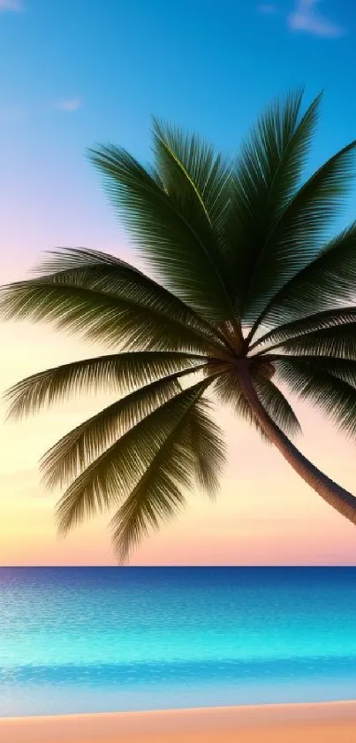 Tropical beach wallpaper with palm tree and sunset sky.