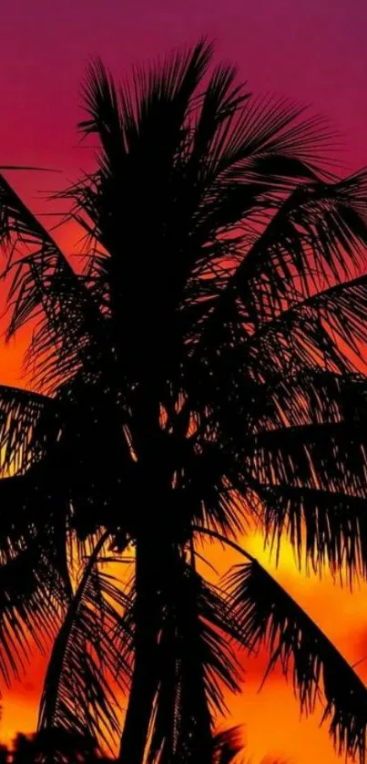 Silhouette of a palm tree against a vibrant orange and purple sunset sky.