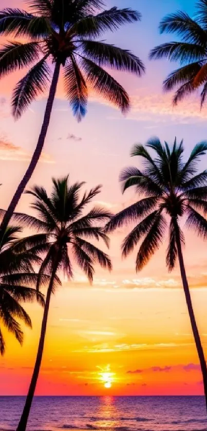 Silhouetted palm trees at sunset on a tropical beach.