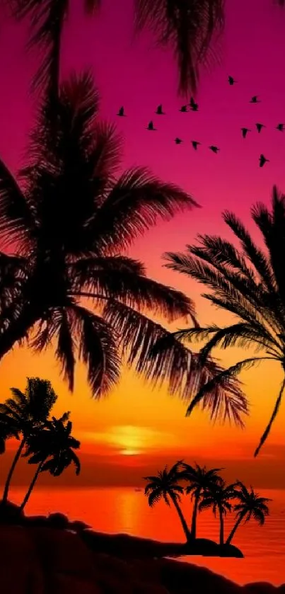 Vibrant tropical sunset with palm silhouettes and orange sky.
