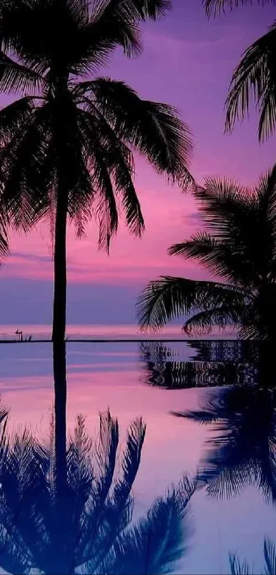 Purple sunset with palm tree silhouette reflection.
