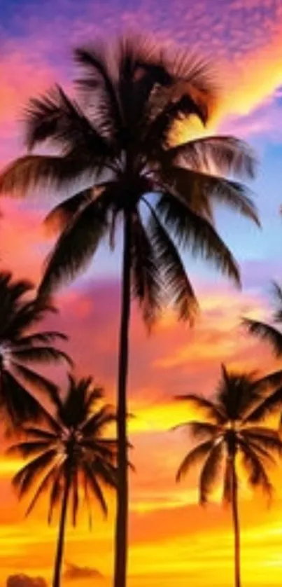 Tropical sunset with silhouetted palm trees against a vibrant sky.