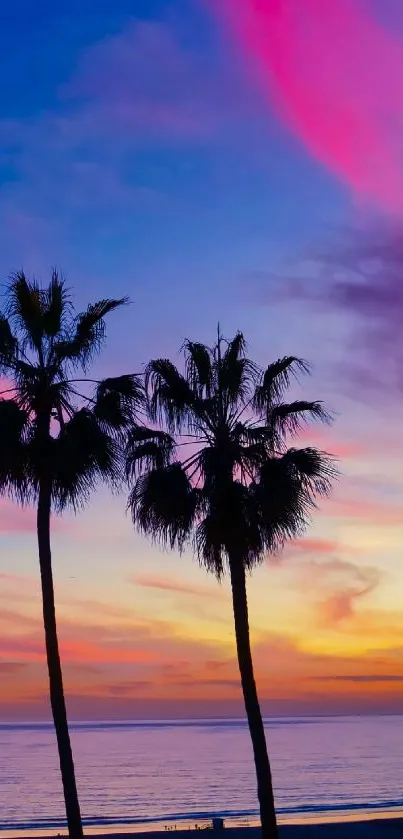 Tropical sunset with palm trees and vibrant sky.