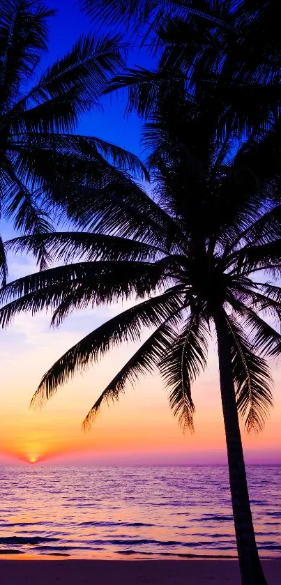 Tropical sunset with silhouetted palm trees on a serene beach.