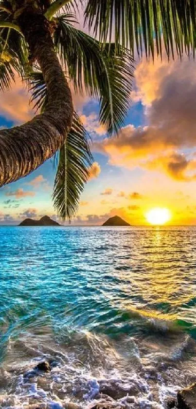 Tropical beach sunset with palm trees and vivid ocean view.