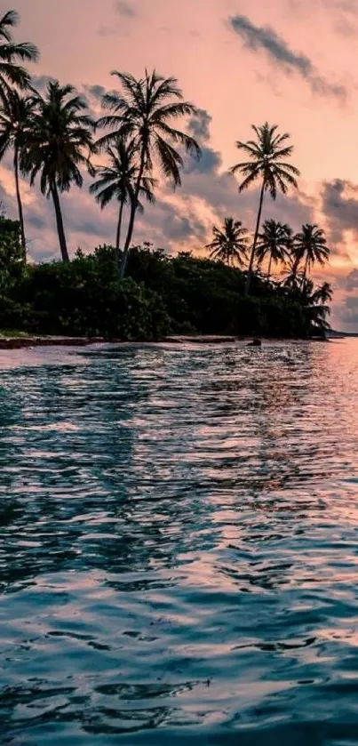 Tropical island sunset with palm trees and ocean view.