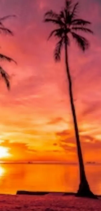 Tropical sunset with palm trees and orange skies.