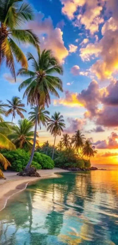 Tropical beach at sunset with palm trees and vibrant sky.