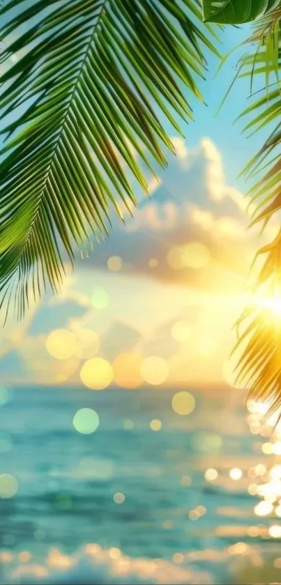 Tropical sunset with palm trees overlooking the ocean.