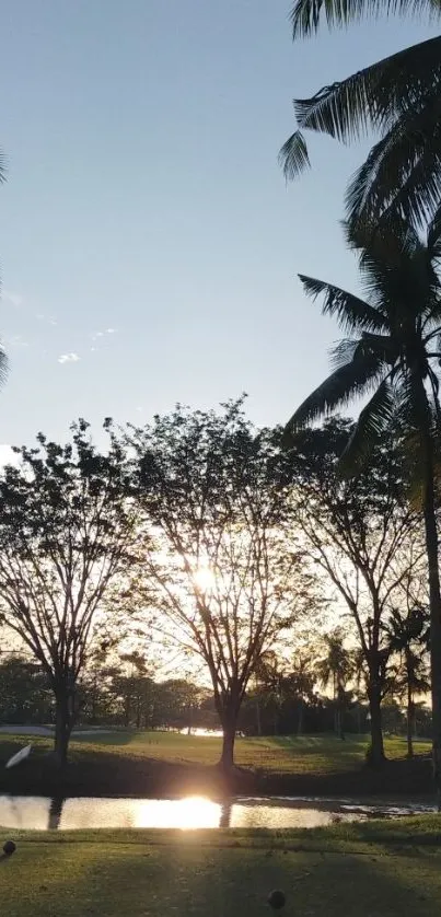 Tropical sunset with palm trees reflecting on a serene lake.