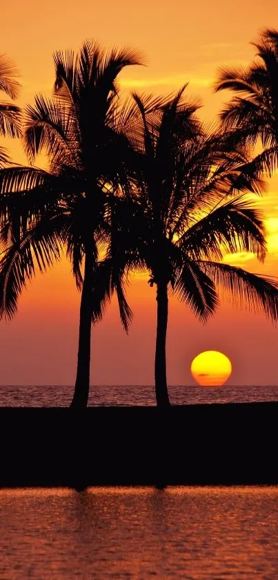 Silhouetted palm trees against orange sunset sky.