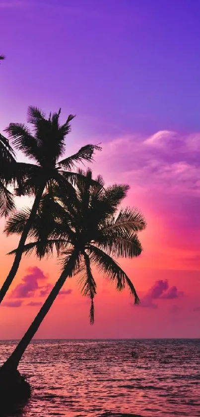 Tropical sunset with silhouetted palms against a colorful sky.