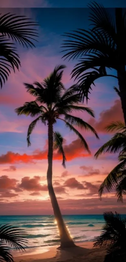 Tropical sunset with palm trees silhouetted against a vibrant sky.