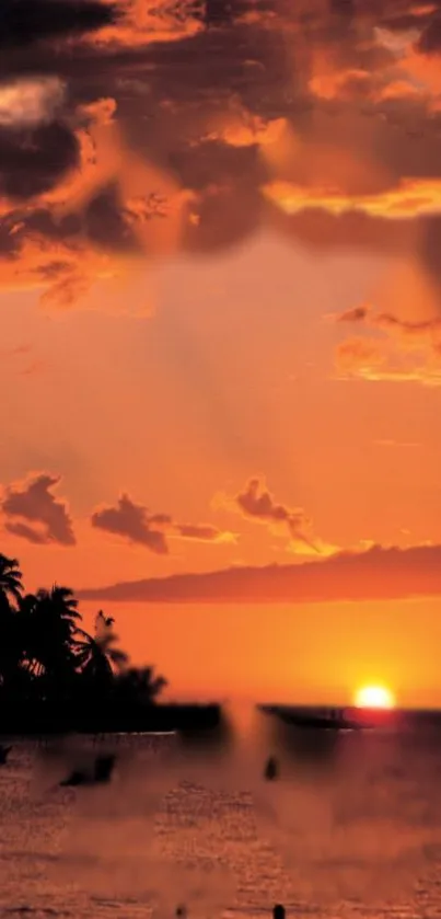 Tropical sunset with orange sky and palm trees on the beach.