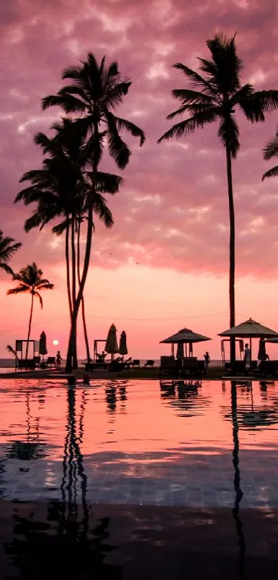 Tropical palm trees at sunset with sky reflection.