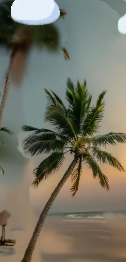 Tropical sunset with palm trees and pastel sky.