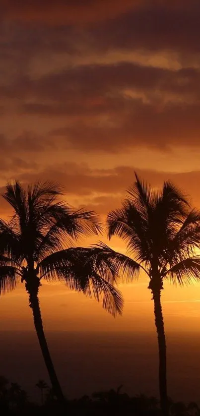 Tropical sunset with silhouetted palm trees under an orange sky.