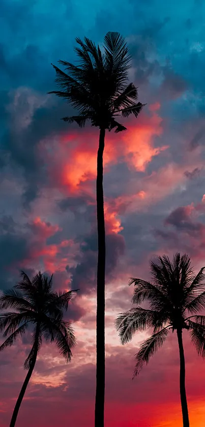 Silhouetted palm trees against a colorful tropical sunset sky.