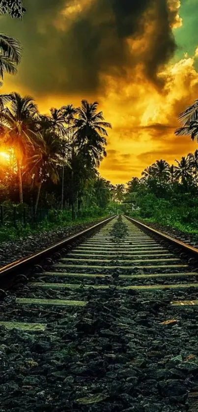 Sunset over a lush tropical railroad path.