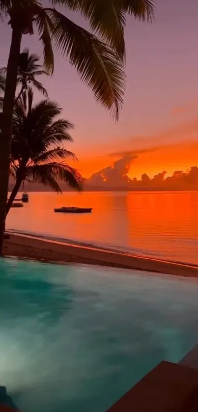 Tropical sunset with orange sky and palm trees reflected in ocean.