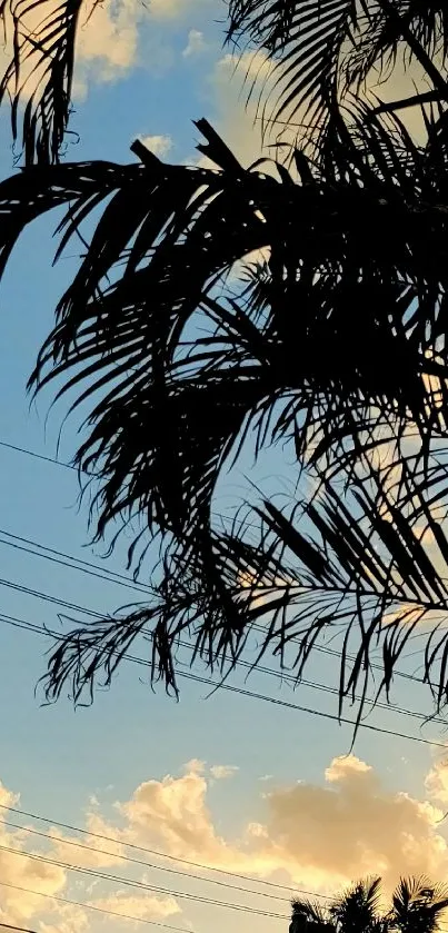 Tropical sunset with palm tree silhouette against a vibrant blue sky.