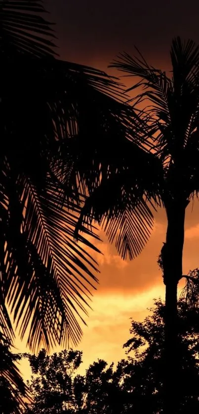 Palm tree silhouette against orange sunset sky.