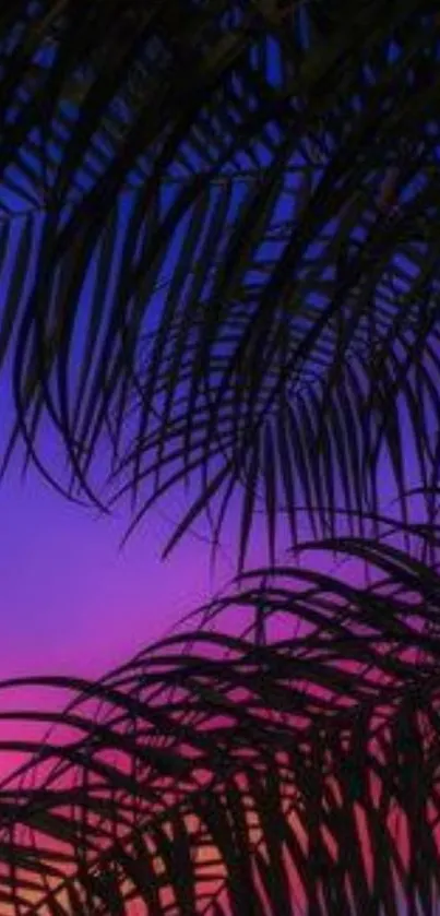 Silhouette of palm leaves against a vibrant sunset sky wallpaper.