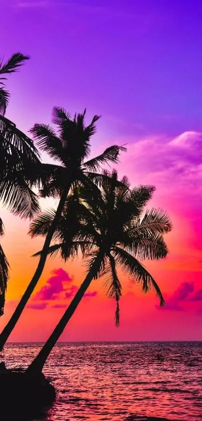 Tropical sunset with palm trees against a purple and orange sky.