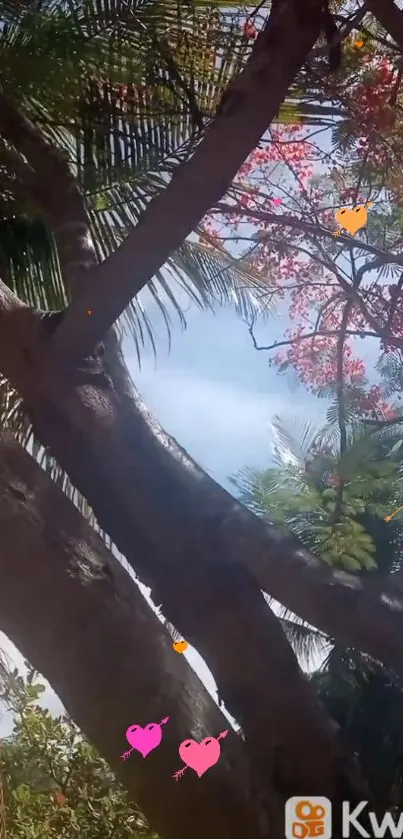 Tropical tree with colorful heart accents under a blue sky.