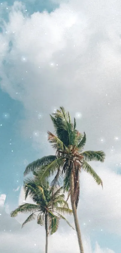 Tropical palm trees under a bright blue sky with fluffy clouds and subtle sparkles.