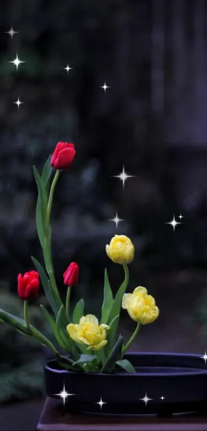 Vibrant red and yellow tulips in a garden setting.