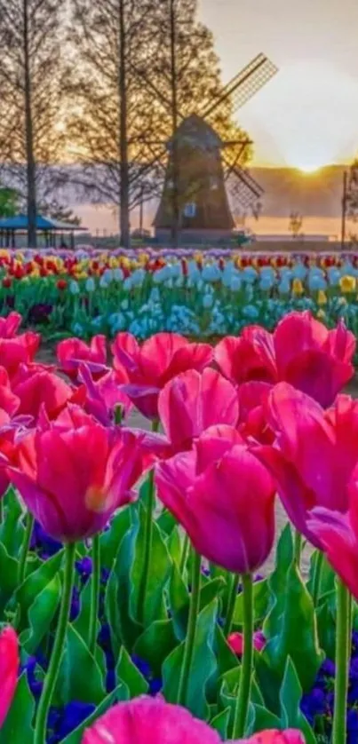 Scenic sunrise with vibrant tulip fields and windmill silhouette.