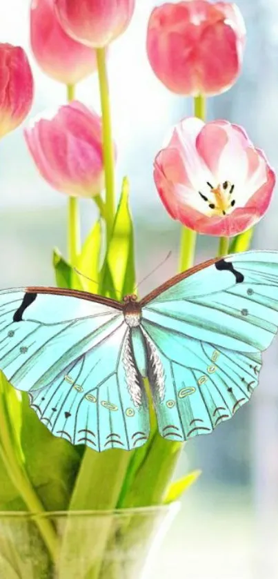 Blue butterfly on pink tulips, vibrant phone background.