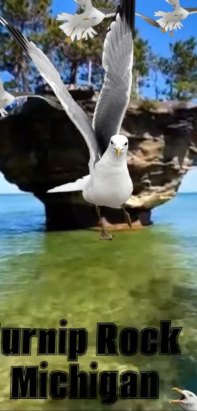 Turnip Rock in Michigan surrounded by seagulls and blue waters.