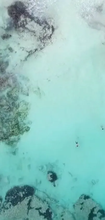 Aerial view of turquoise ocean with marine life.