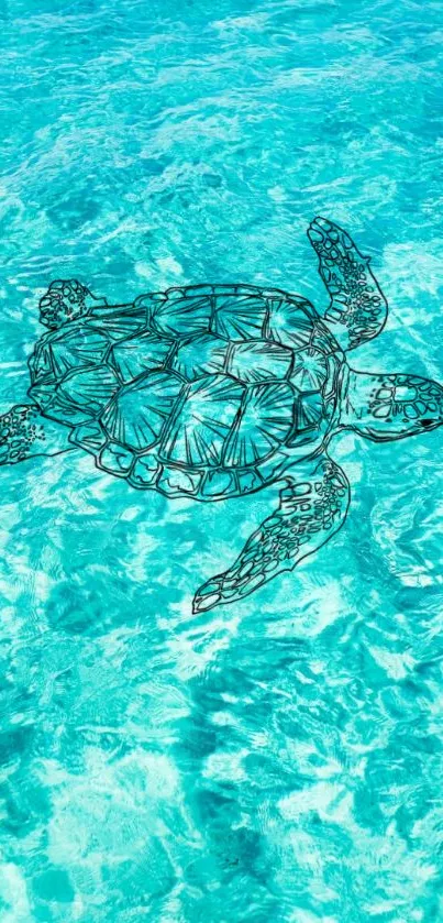 Turtle swims in clear turquoise water. Serene and beautiful.