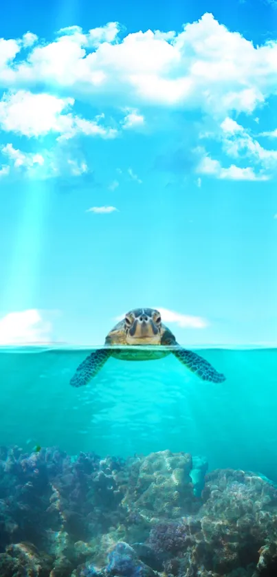 Turtle swimming in clear blue ocean with clouds above.