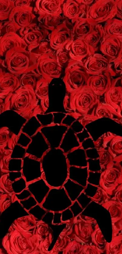 Black turtle silhouette over vibrant red roses background.