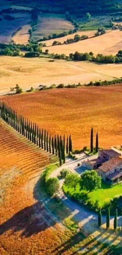 Aerial view of Tuscany with rolling hills and vibrant fields