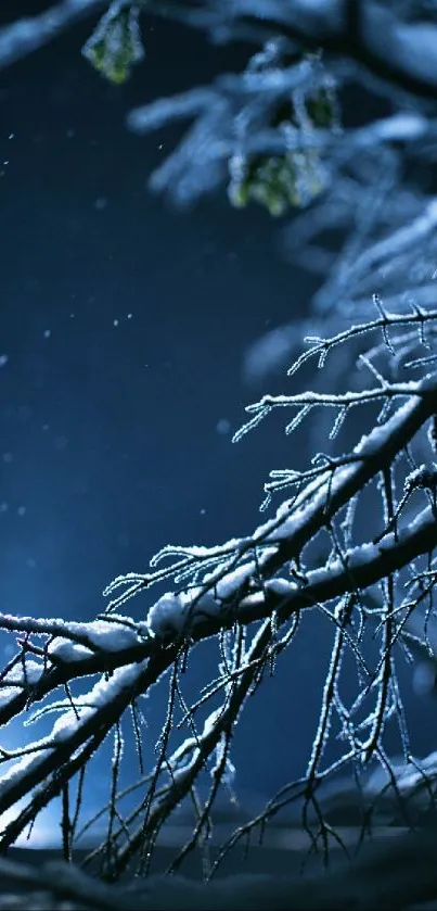 Twig Sky Branch Live Wallpaper