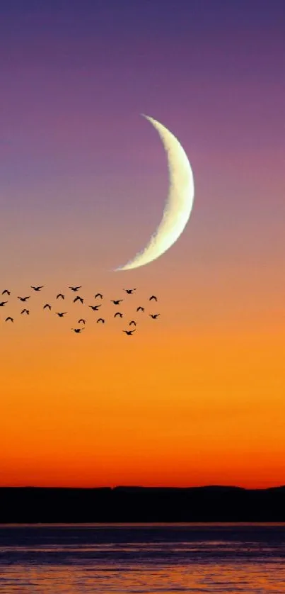 Crescent moon and flying birds over an orange ocean at twilight.