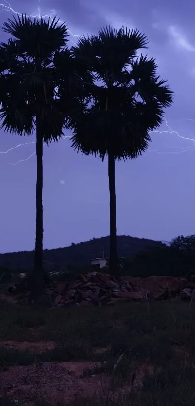 Silhouetted palm trees with a twilight sky background and distant lightning.